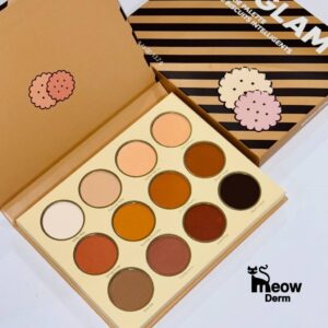 پالت سایه چشم رنگ گرم شیگلم مدل SMART COOKIE PALETTE